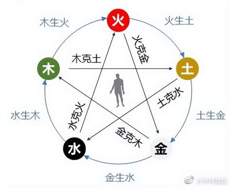 秋 五行|秋季 養生 陰陽五行 黄帝内経｜宏福中医研